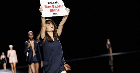 animal rights fashion gucci|gucci animal ban.